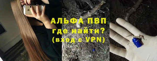 молекула духа Белоозёрский