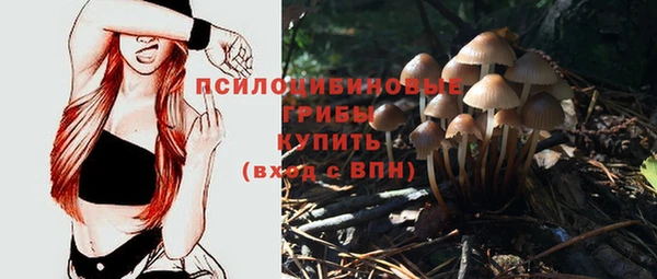 эйфоретик Белокуриха
