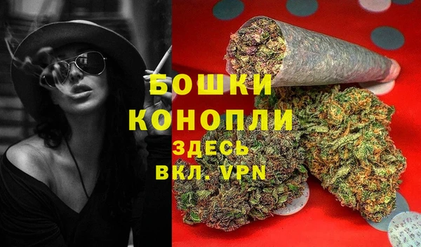 молекула духа Белоозёрский