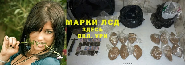 эйфоретик Белокуриха
