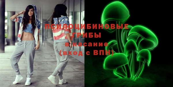 эйфоретик Белокуриха
