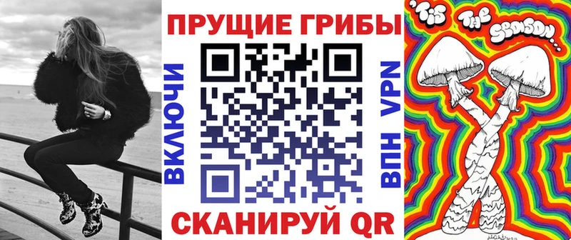 Псилоцибиновые грибы Cubensis omg ТОР Пикалёво